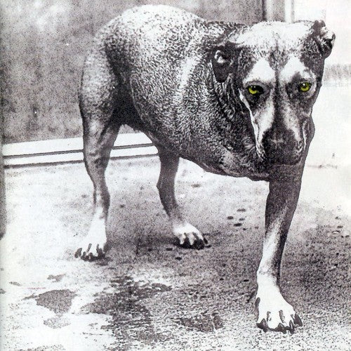 Alice in Chains - 'Tripod' - 1LP Vinyl